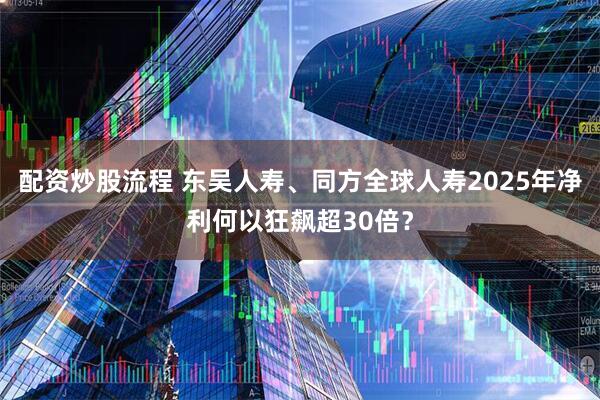 配资炒股流程 东吴人寿、同方全球人寿2025年净利何以狂飙超30倍？
